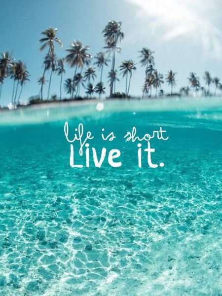 Тропические фрукты