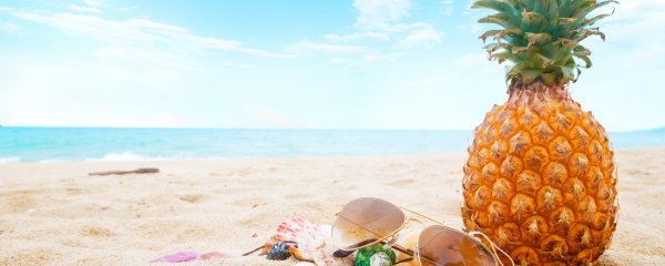 Пальмы Эстетика