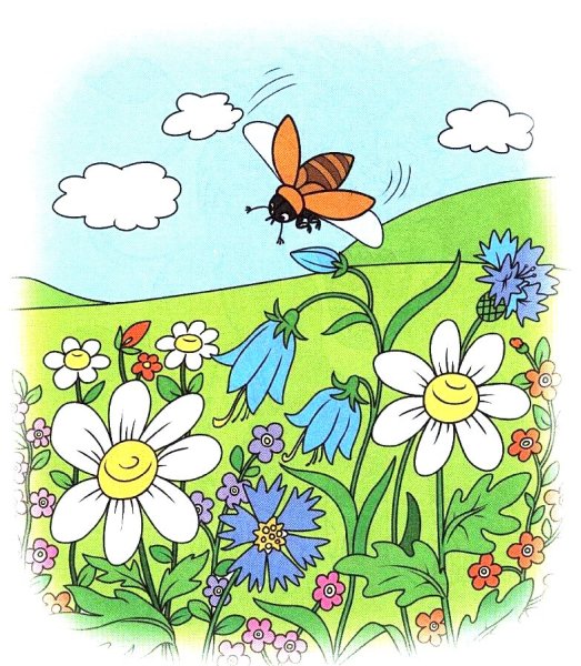 Летние насекомые для детей