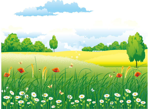 Луг рисунок