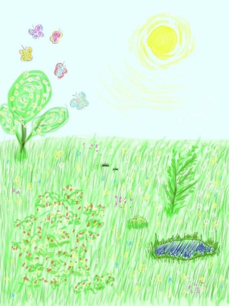 Луговые цветы