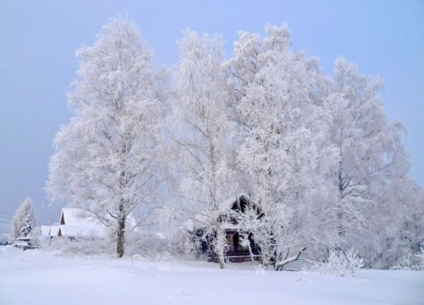 Белоснежная зима
