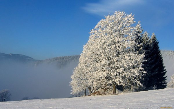 Метель и вьюга