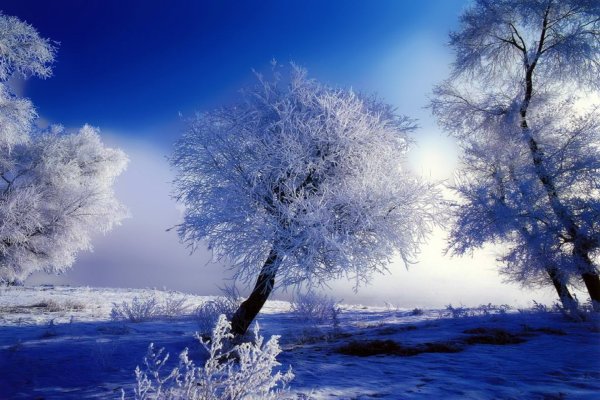 Февраль природа