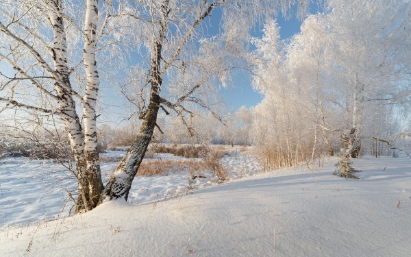 Снег искрится на солнце