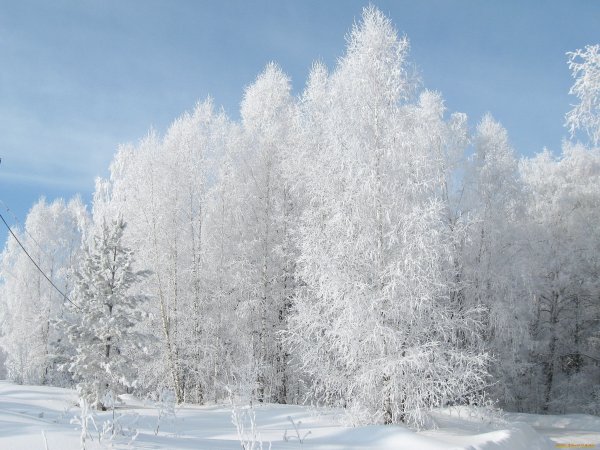 Раскрасавица зима