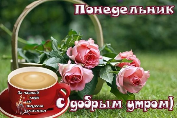 Красивые поздравления с добрым утром понедельника