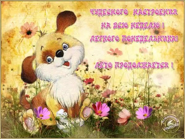 Лёгкого понедельника и хорошего дня