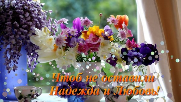 С добрым утром понедельника цветы