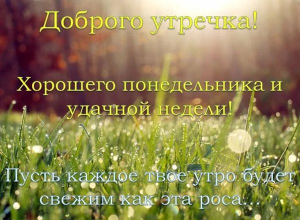 Доброго понедельника и хорошей недели