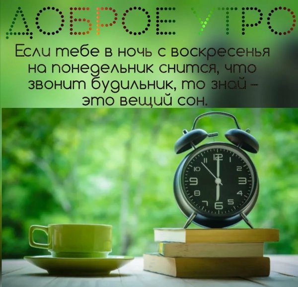 С добрым летним утром понедельника