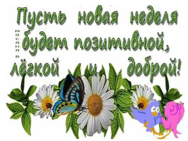 Доброеиутро понедельника
