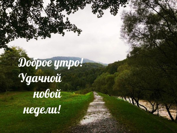 Открытки с добрым утром понедельника
