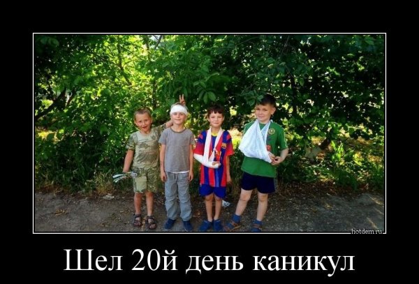 Демотиваторы каникулы