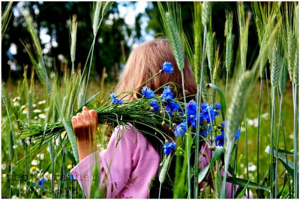 Девушка с васильками