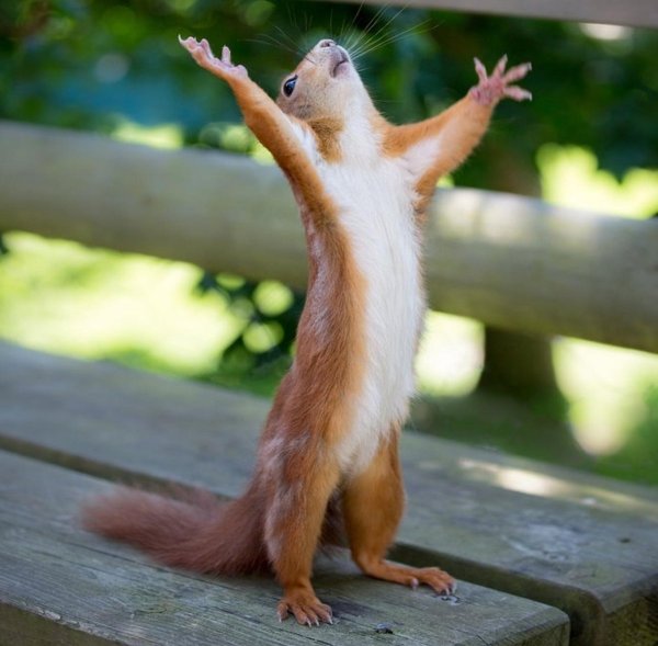 Последний день отпуска