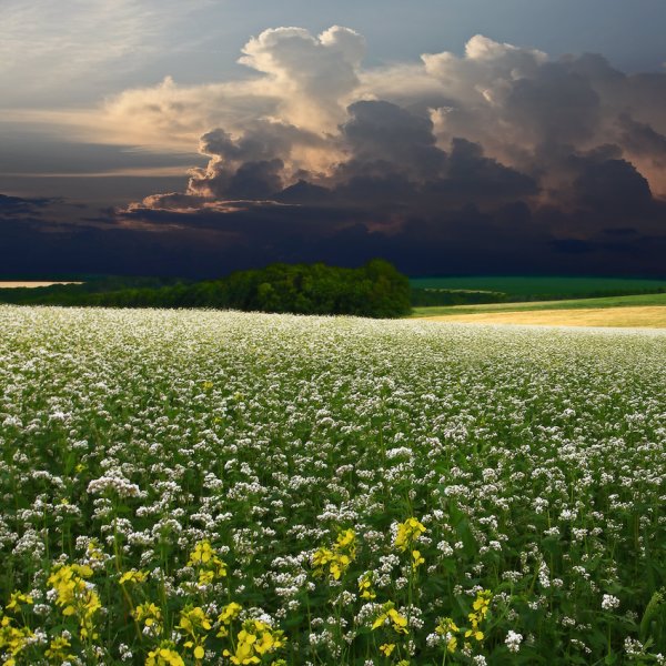 Приближение лета