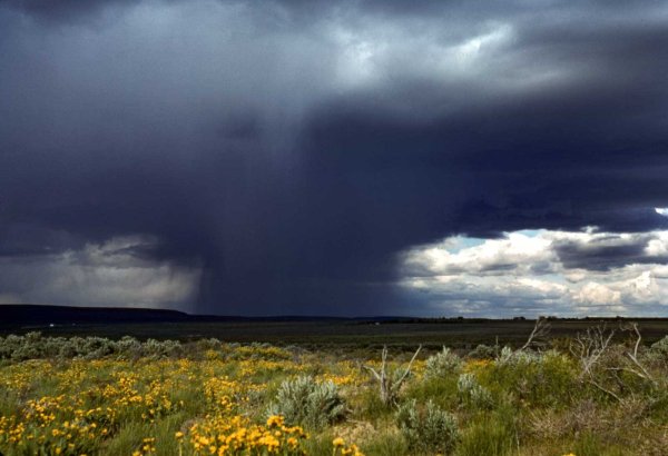 Антонио Вивальди времена года иллюстрации