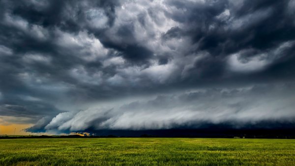 Отец Антонио Вивальди