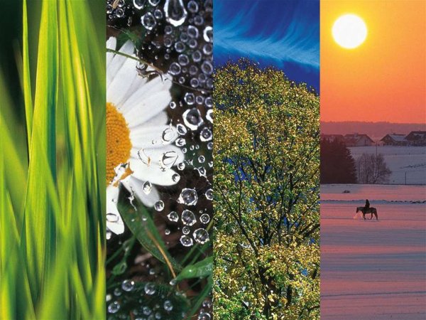 Вивальди лето Весна