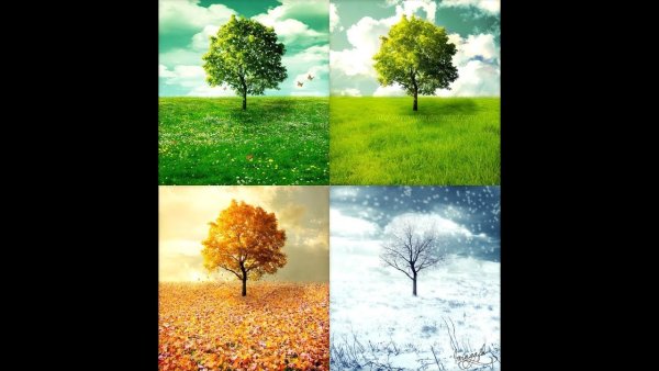 Времена года Вивальди живопись