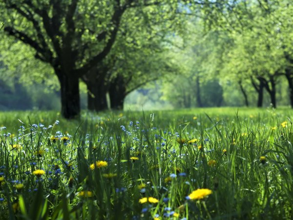 Рисование времена года