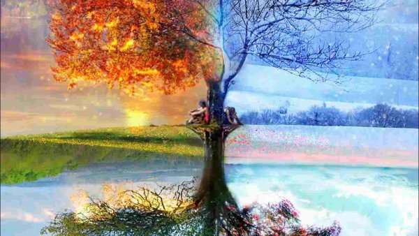 Времена года