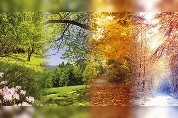 Лето гроза Вивальди картина