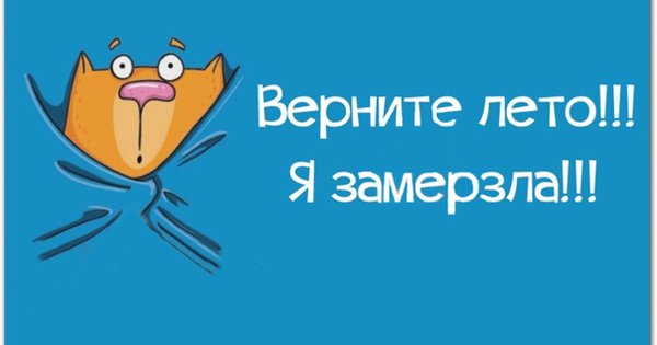 Лето в Сибири юмор