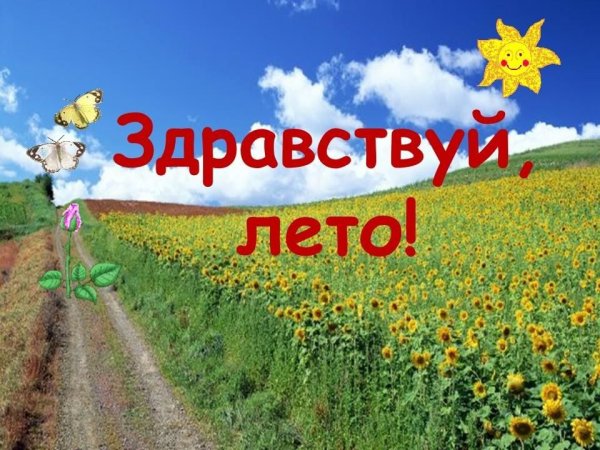 Здравствуй лето