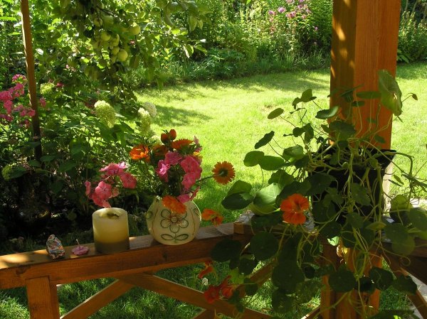 Июль на даче