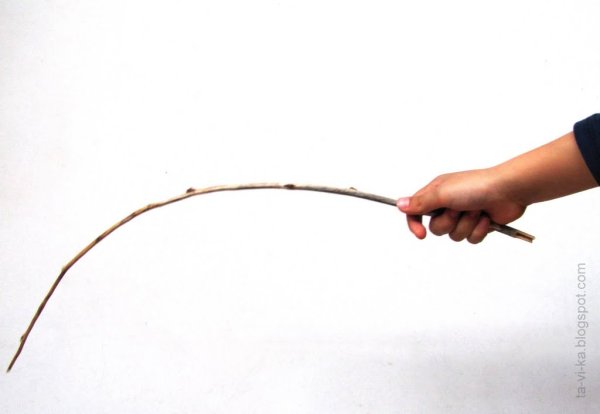 Тело света человека