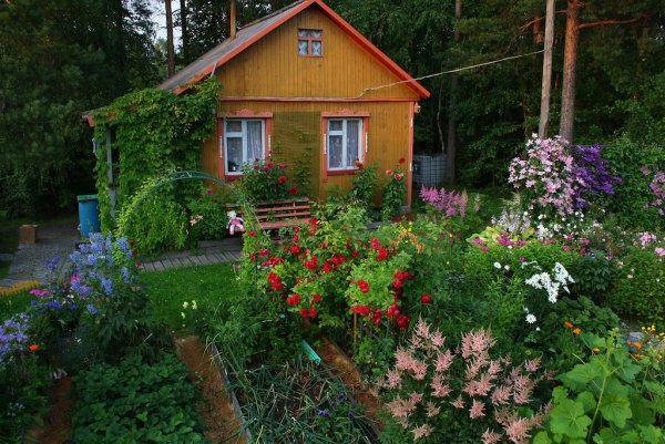 Дача удачи Воложка Ижевск