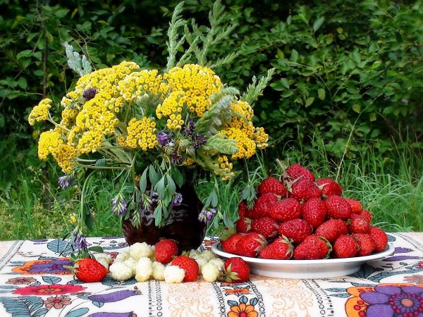 Дачные ягоды