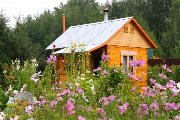 Украинская дача