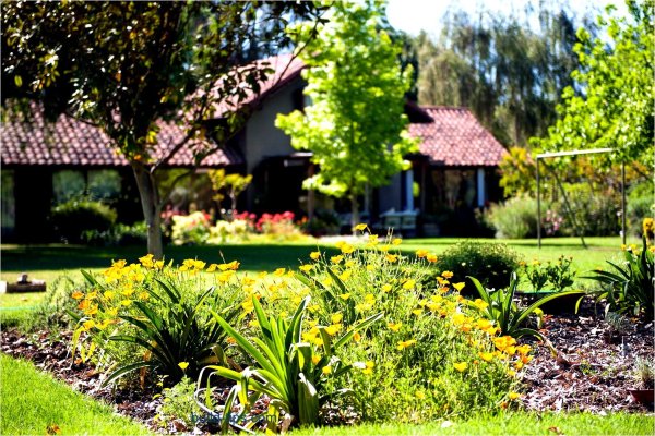 Сад и огород