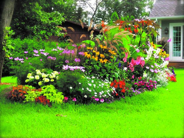 Огородный миксбордер