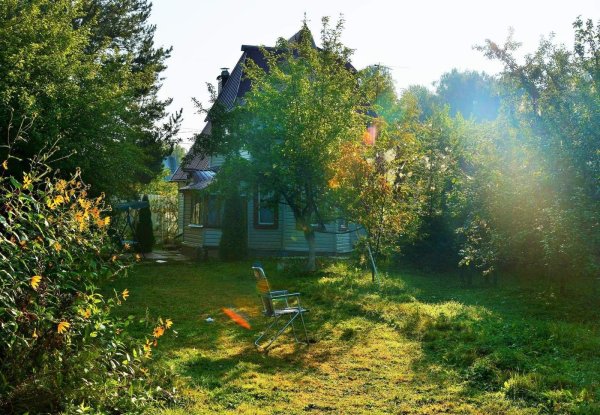 Дача. Лето
