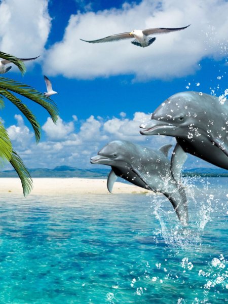 Дельфин в живой природе