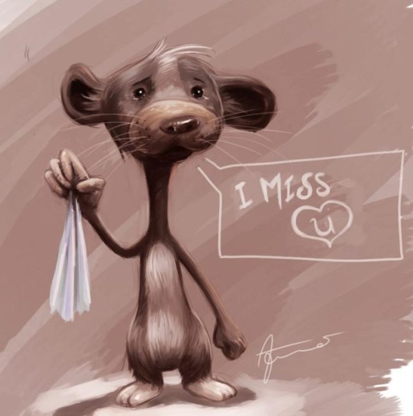 Кот ждёт лето