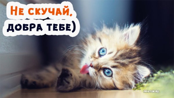 Здравствуй лето