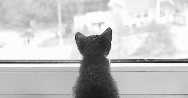 Женечка я тебя люблю