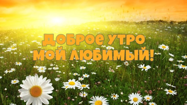 Доброе утро Наташа