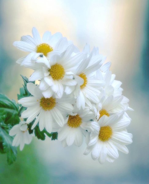 С добрым солнечнымутпом