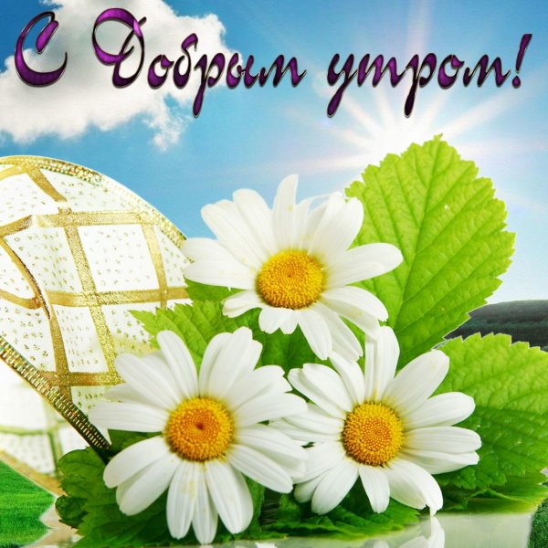 Открытки с добрым утром и первым днем лета