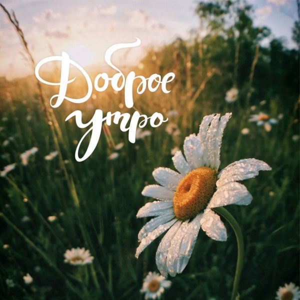 Доброе утро природа