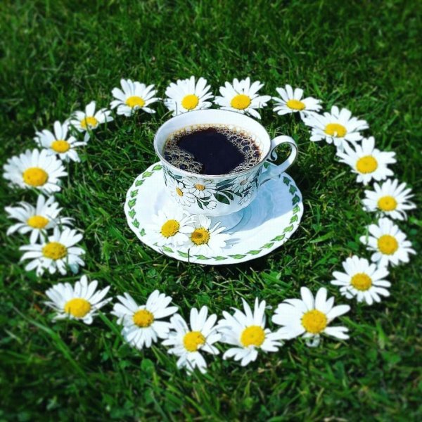 Пожелания с добрым утром с природой