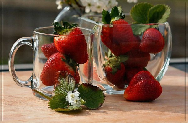 Доброе утро ромашки