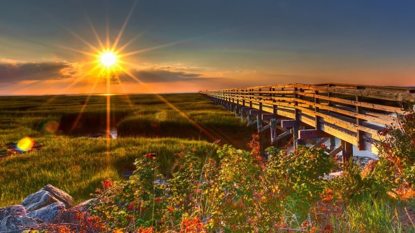 Красивая природа рассвет