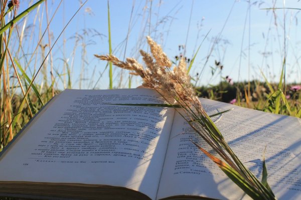 Книга на траве
